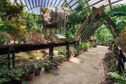 Entopia by Penang Butterfly Farm